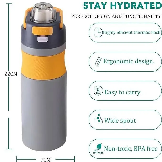 580ml Insulated Stainless Steel Bottle with Leak-Proof, Double-Wall Thermos for Hot & Cold (Grey)