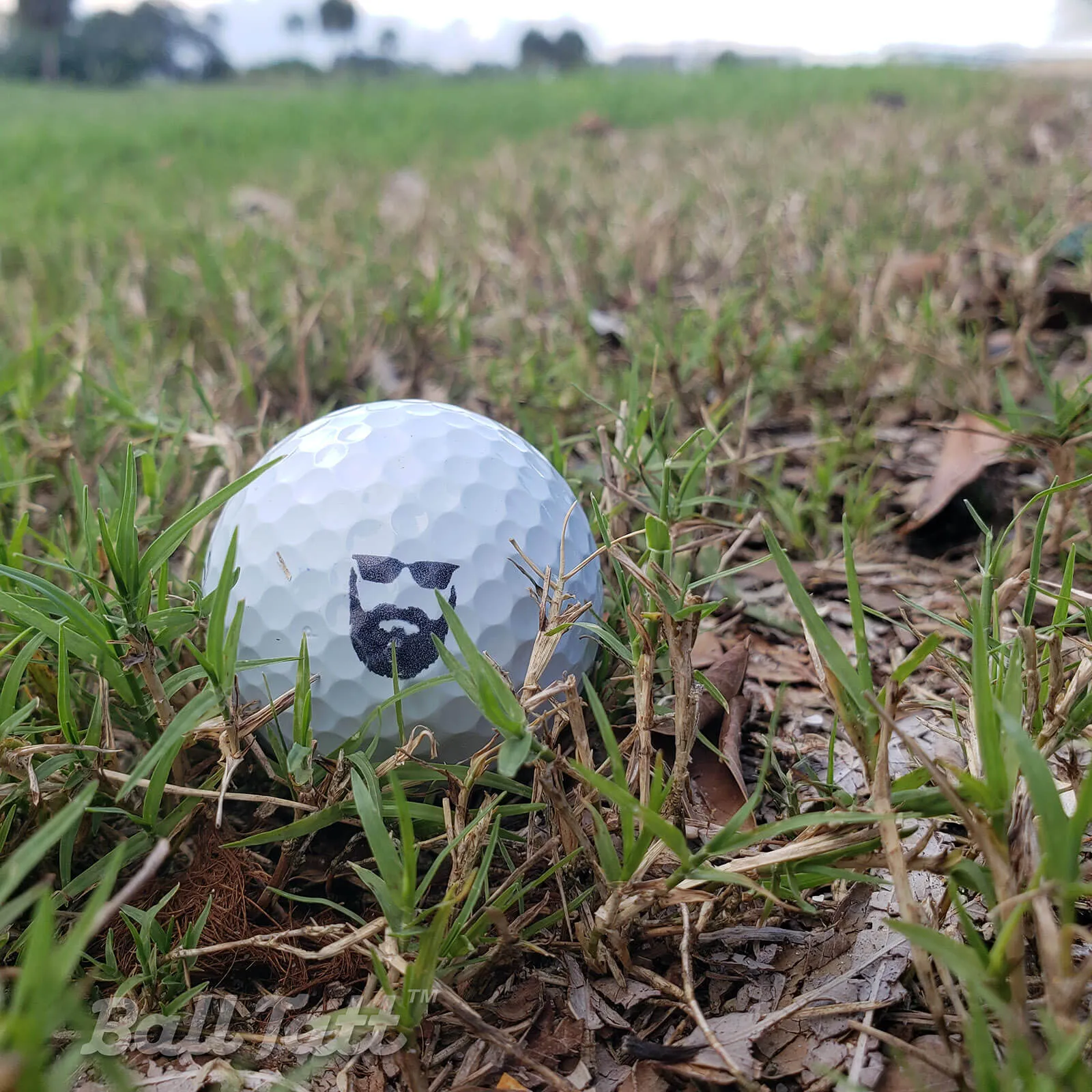 Beard Man Golf Ball Stamp