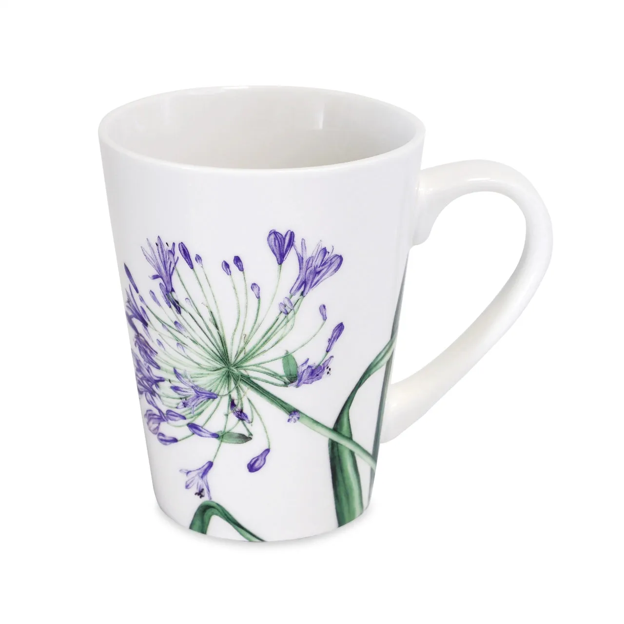 Botanical Studio Set of 4 Mugs