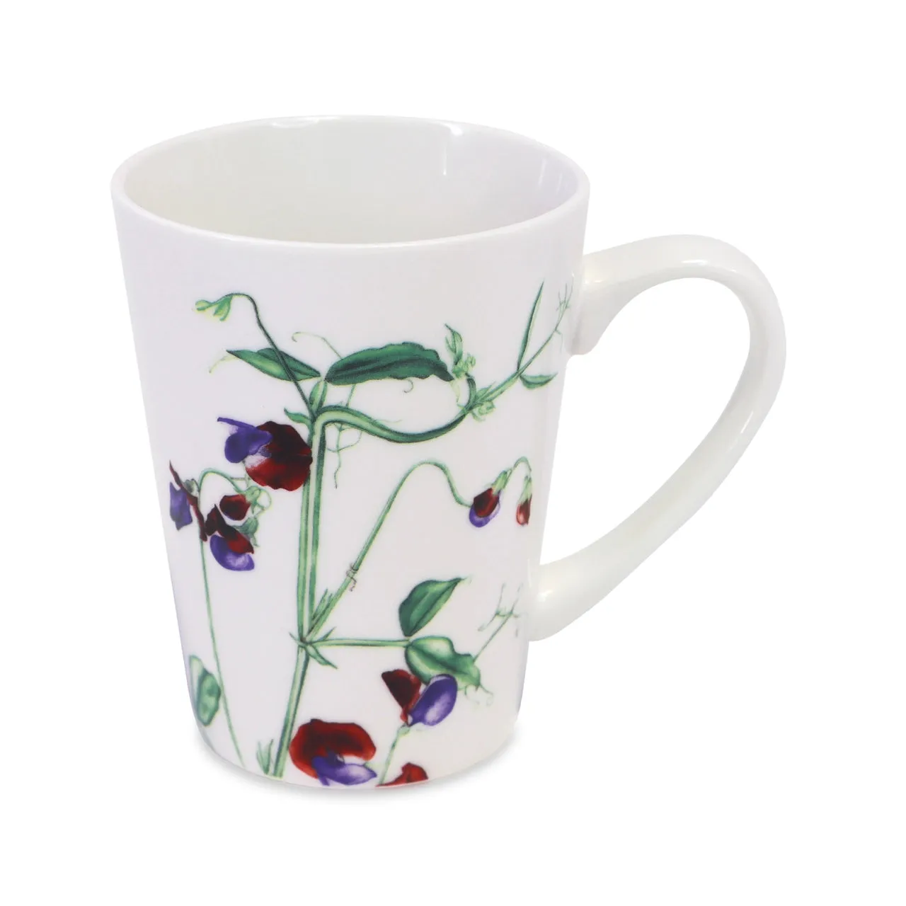 Botanical Studio Set of 4 Mugs