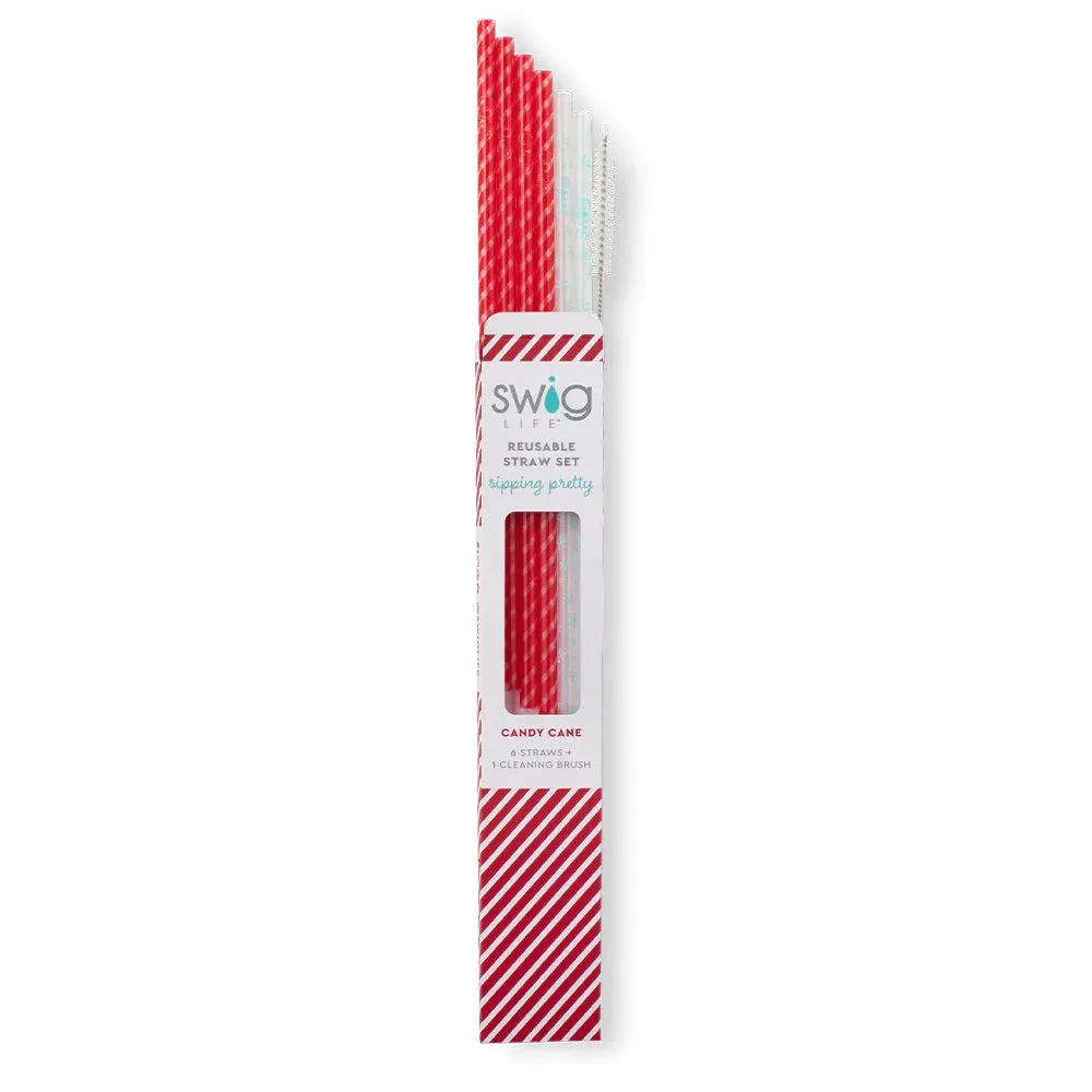 Candy Cane   Snowflake / Reusable Straw Set