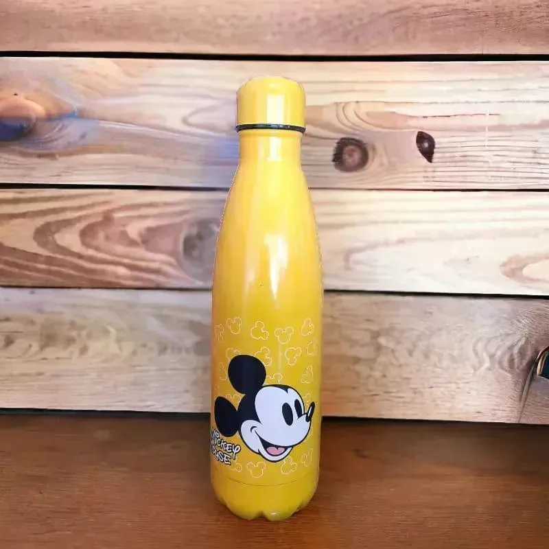 Character Cola Metal Water Bottle (500 ml)