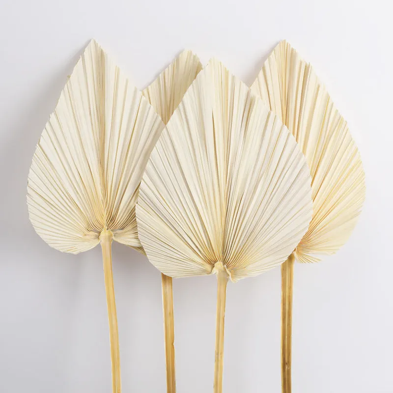 Dried Palm Leaves Natural Dried Fan Leaf Palm Boho Decor