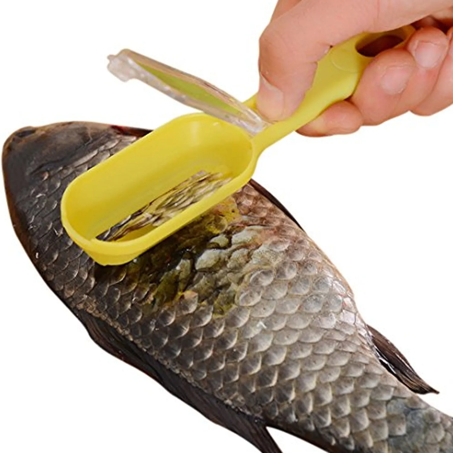 Effortless Fish Cleaning: Scraper, Grater & Brush in One (1 Pc)