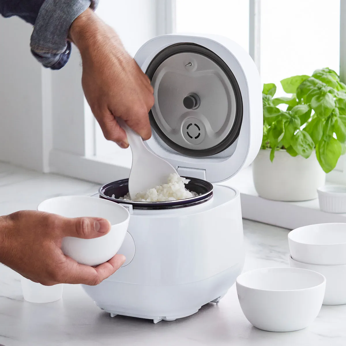 GreenLife Rice & Grains Cooker | White