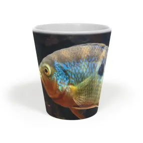 Grey Orange Fish Latte Mug, 12oz