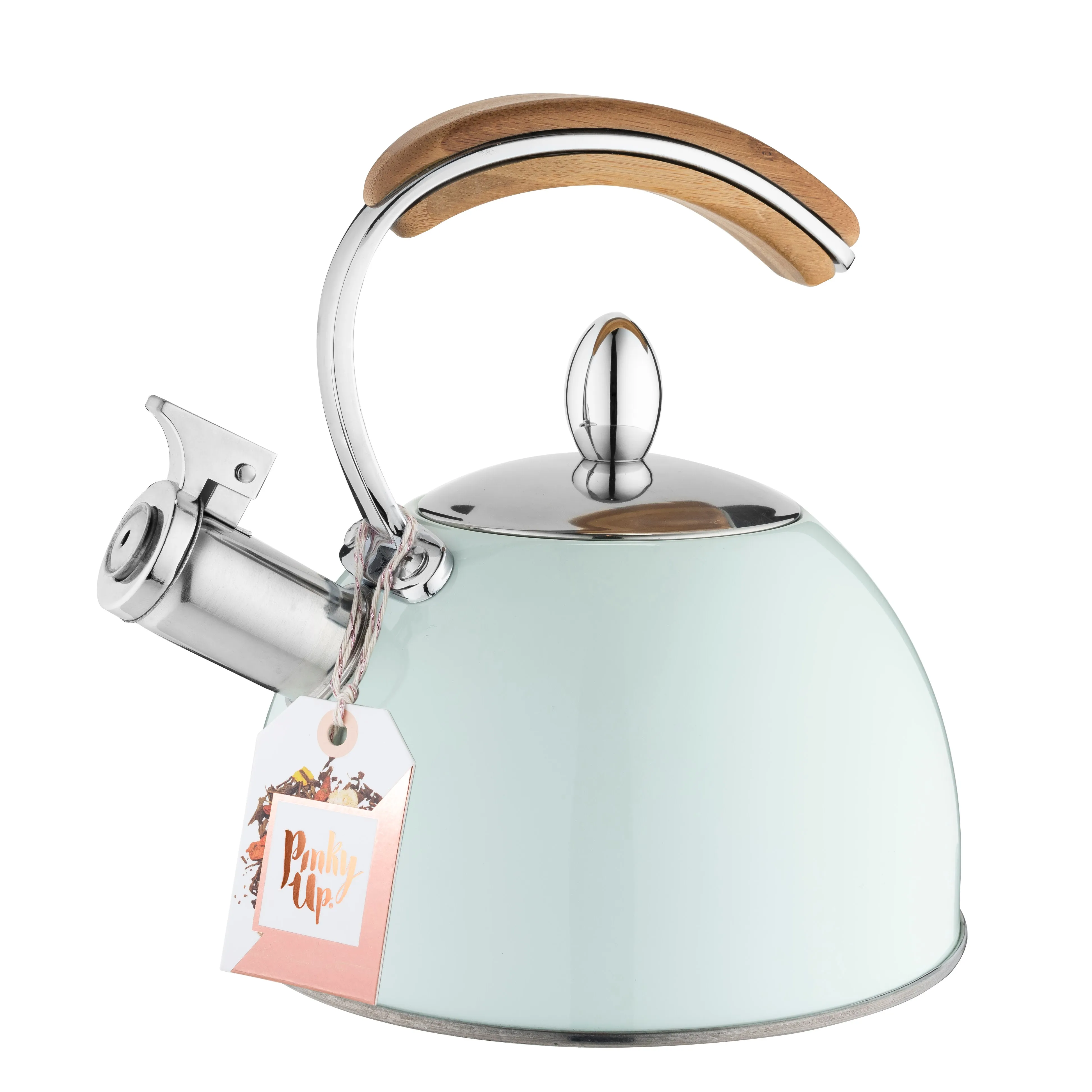 Presley Pistachio Tea Kettle