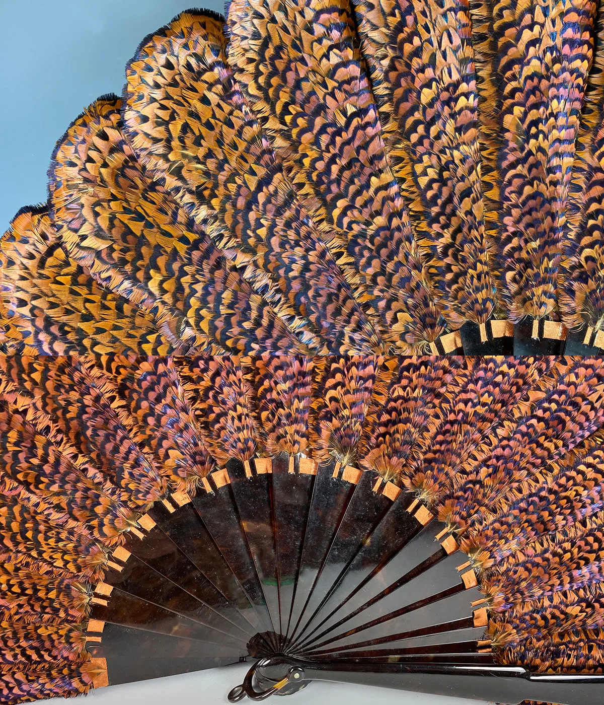 RARE Museum Fan, Antique French Tortoise Shell Monture, Lush Iridescent Ring Neck Pheasant Feather