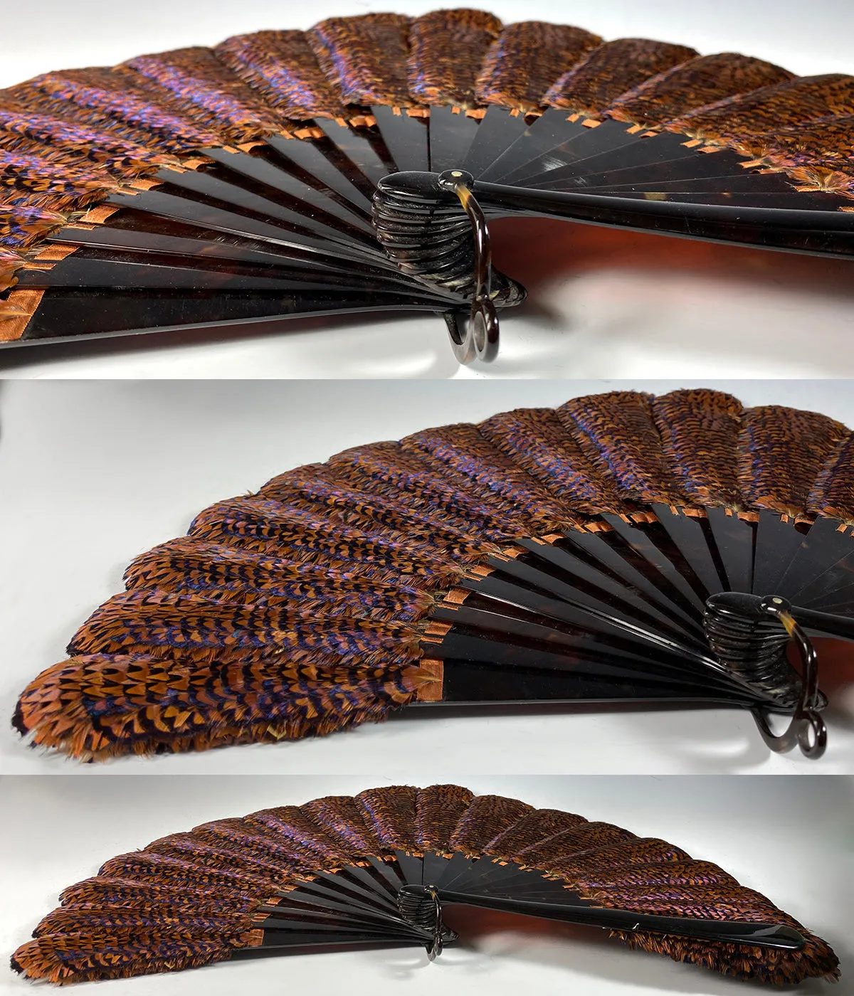 RARE Museum Fan, Antique French Tortoise Shell Monture, Lush Iridescent Ring Neck Pheasant Feather