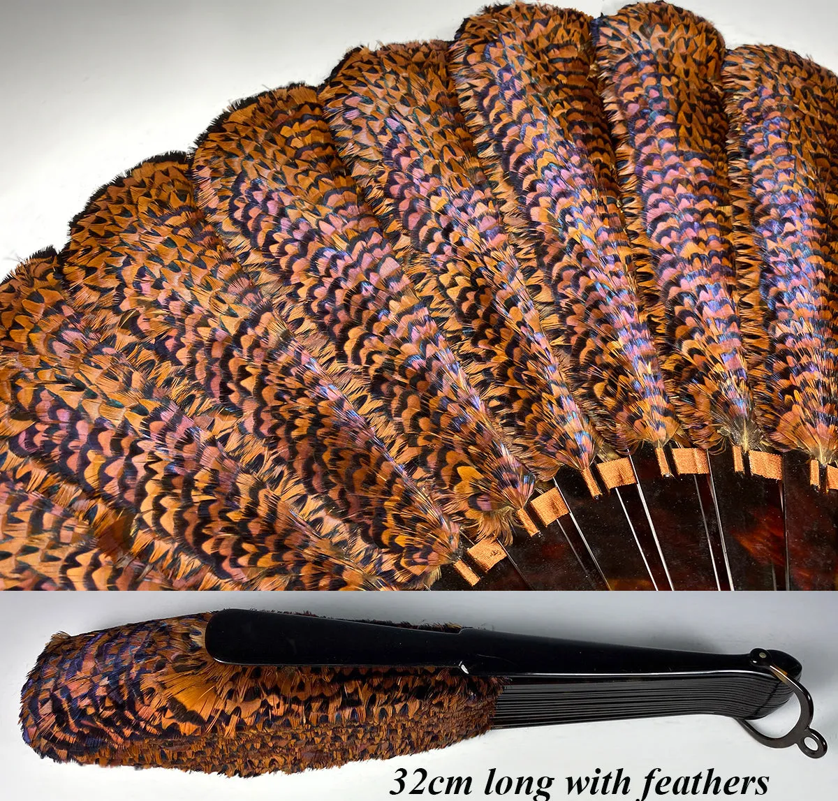 RARE Museum Fan, Antique French Tortoise Shell Monture, Lush Iridescent Ring Neck Pheasant Feather