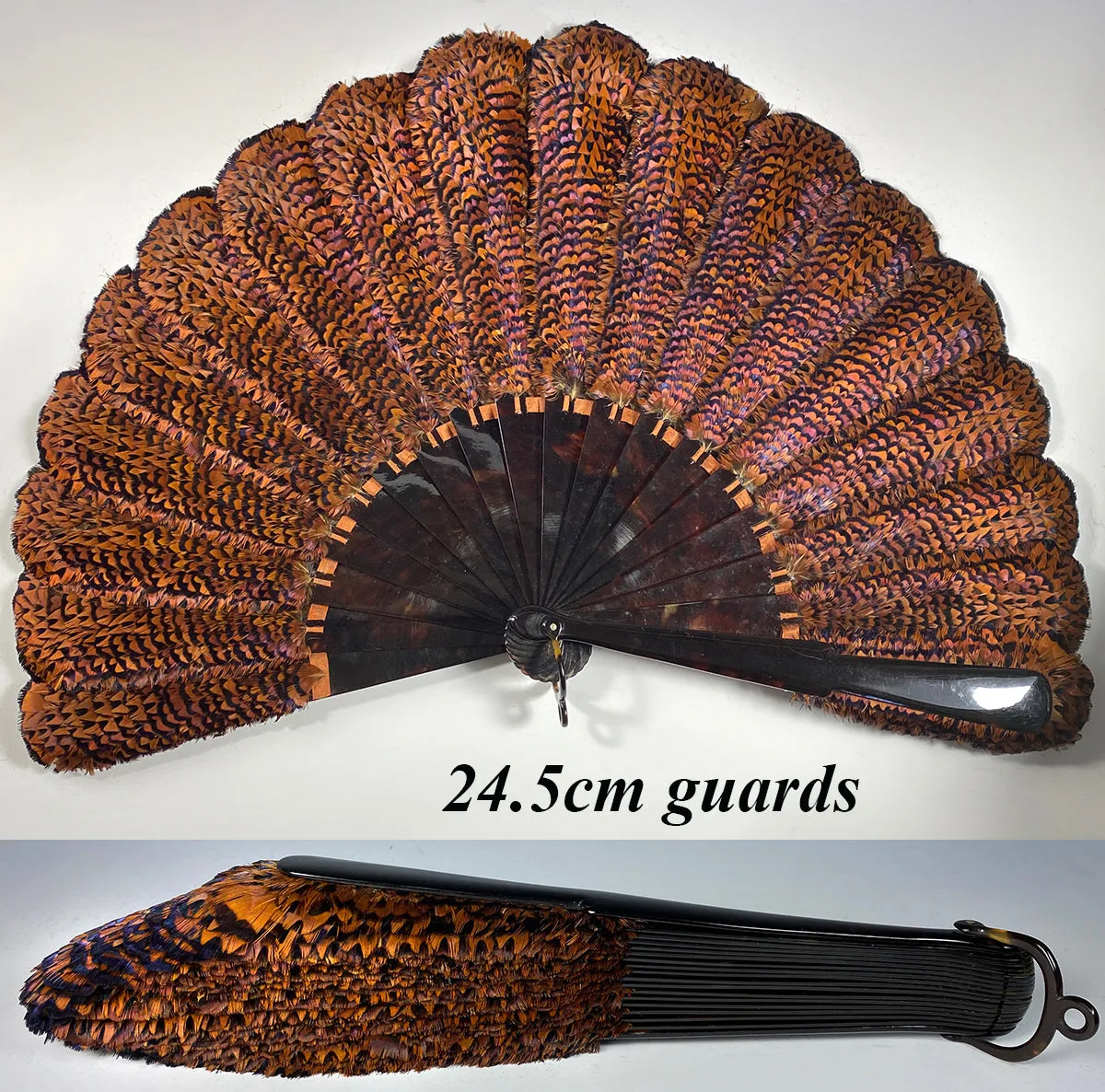 RARE Museum Fan, Antique French Tortoise Shell Monture, Lush Iridescent Ring Neck Pheasant Feather