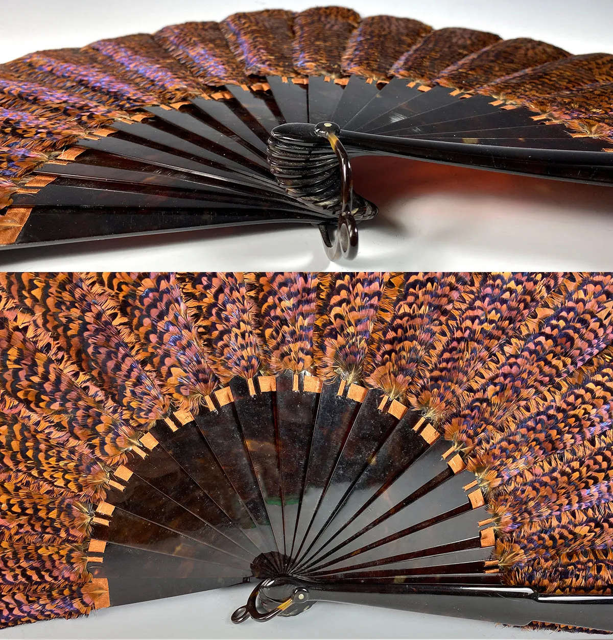 RARE Museum Fan, Antique French Tortoise Shell Monture, Lush Iridescent Ring Neck Pheasant Feather