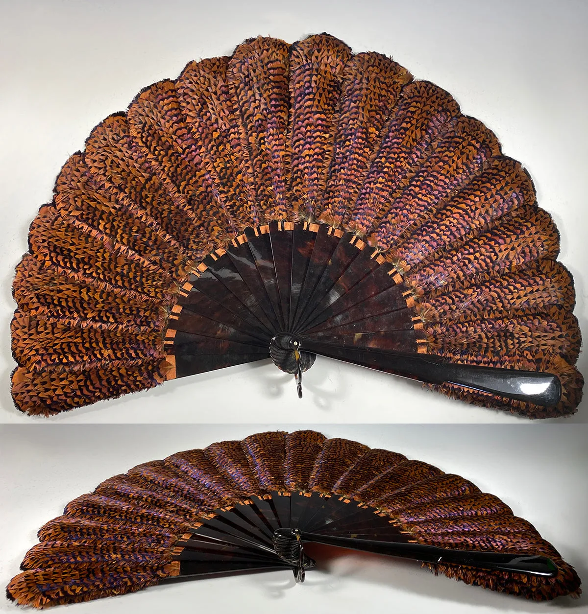 RARE Museum Fan, Antique French Tortoise Shell Monture, Lush Iridescent Ring Neck Pheasant Feather