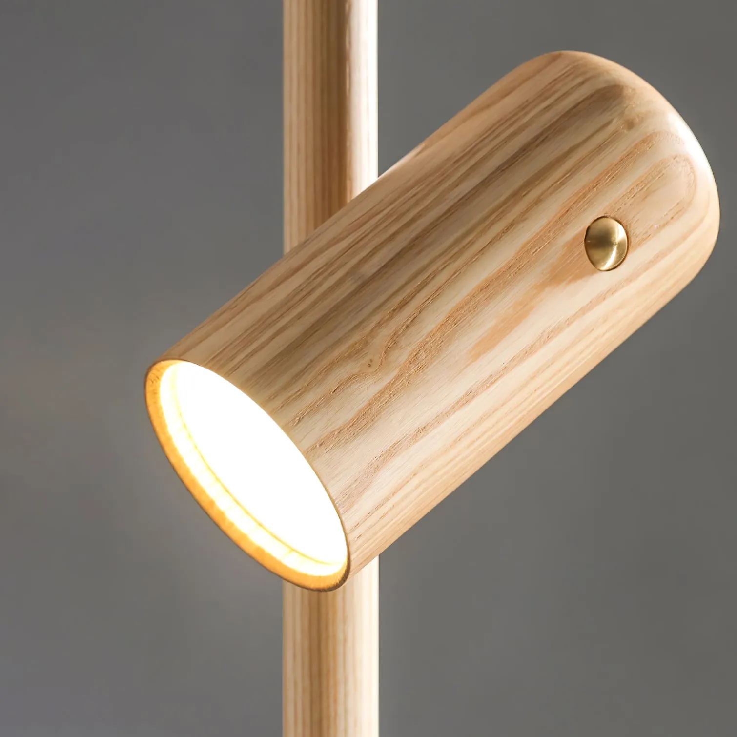 Spotlight Wood Floor Lamp